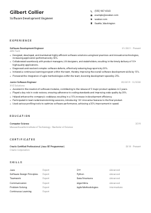 Software Development Engineer CV Example