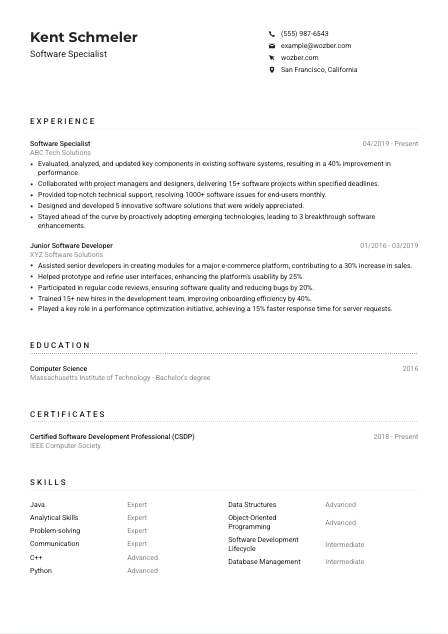 Software Specialist CV Example