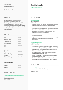 Software Specialist CV Template #14