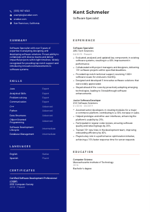 Software Specialist CV Template #21