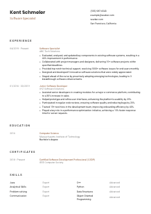 Software Specialist CV Template #6