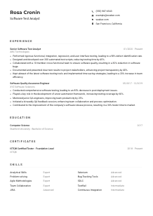 Software Test Analyst CV Example