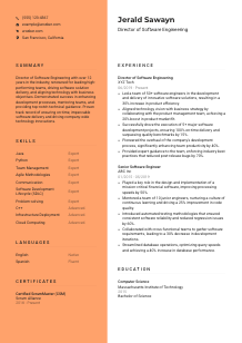 Director of Software Engineering CV Template #19