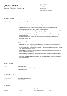 Director of Software Engineering CV Template #3