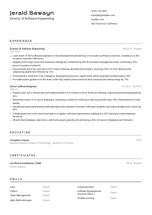 Director of Software Engineering Resume Template #9