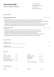 Software Development Manager Resume Example