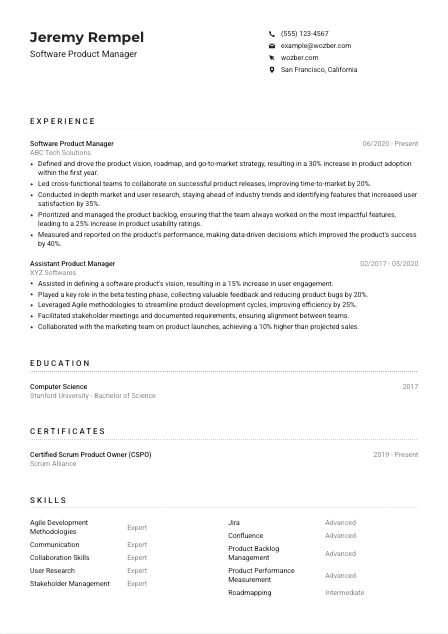 Software Product Manager CV Example