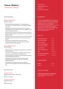 Software Project Manager Resume Template #3