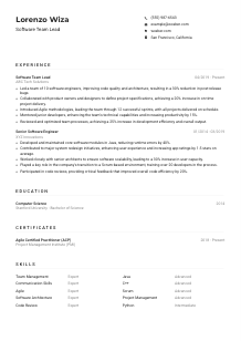 Software Team Lead Resume Example
