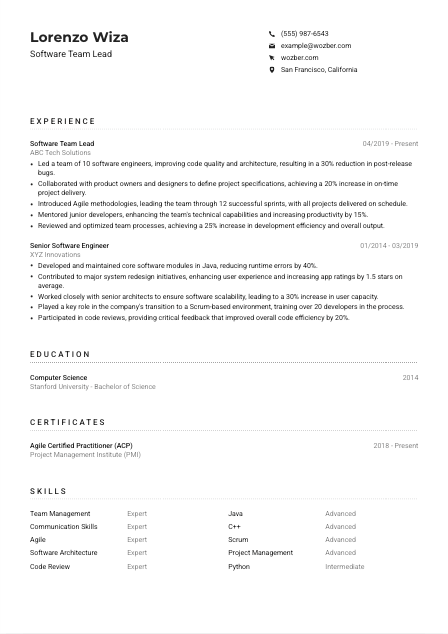 Software Team Lead CV Example
