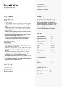 Software Team Lead Resume Template #2