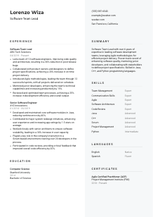 Software Team Lead CV Template #2