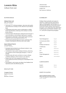 Software Team Lead CV Template #1