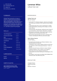 Software Team Lead Resume Template #3