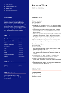 Software Team Lead CV Template #3