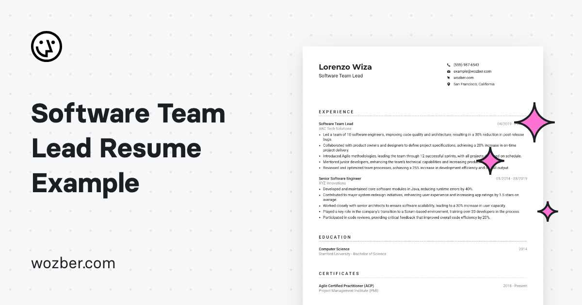 software-team-lead-resume-example