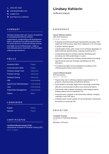 Software Analyst Resume Template #21