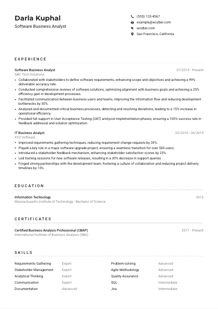 Software Business Analyst Resume Example