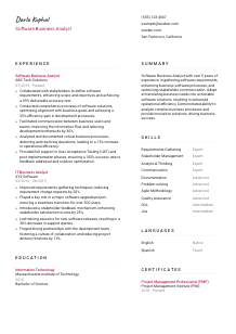 Software Business Analyst Resume Template #11