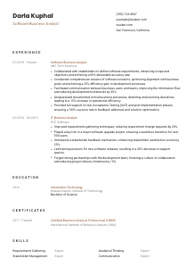 Software Business Analyst Resume Template #6