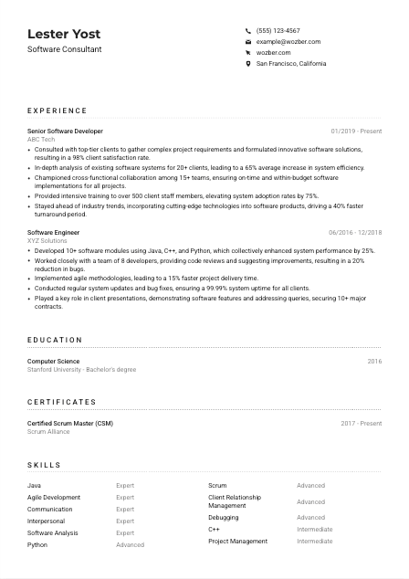 Software Consultant Resume Example