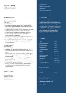 Software Consultant Resume Template #15