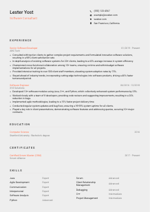 Software Consultant Resume Template #23