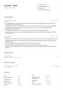 Software Consultant Resume Template #4