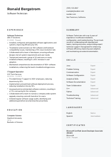 Software Technician CV Template #12