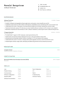 Software Technician CV Template #18