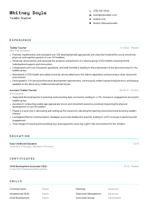 Toddler Teacher CV Template #3