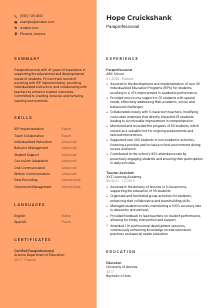 Paraprofessional CV Template #19