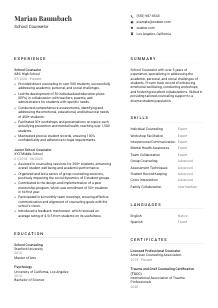 School Counselor Resume Template #7