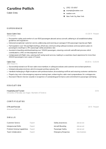 Cabin Crew Resume Example
