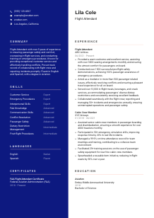 Flight Attendant CV Template #3