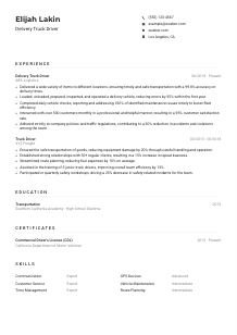 Delivery Truck Driver Resume Example