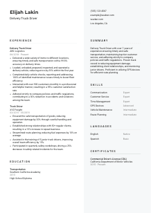 Delivery Truck Driver CV Template #2