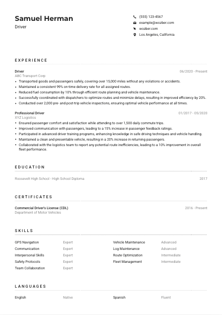 Driver CV Example