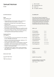 Driver Resume Template #13