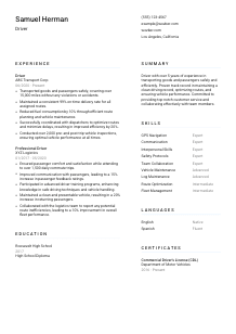 Driver Resume Template #5