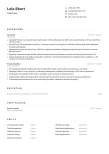Taxi Driver Resume Example