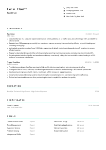 Taxi Driver Resume Template #3