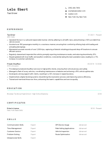 Taxi Driver CV Template #3