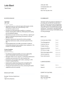 Taxi Driver Resume Template #1