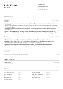 Taxi Driver Resume Template #2