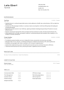 Taxi Driver CV Template #2