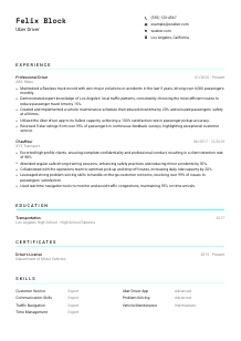 Uber Driver Resume Template #3